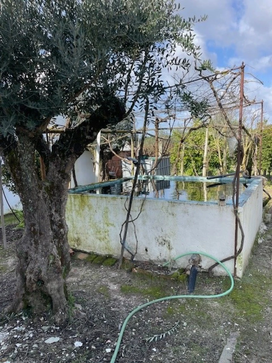 Quinta T3 para Venda em Foros de Arrão Foto 18