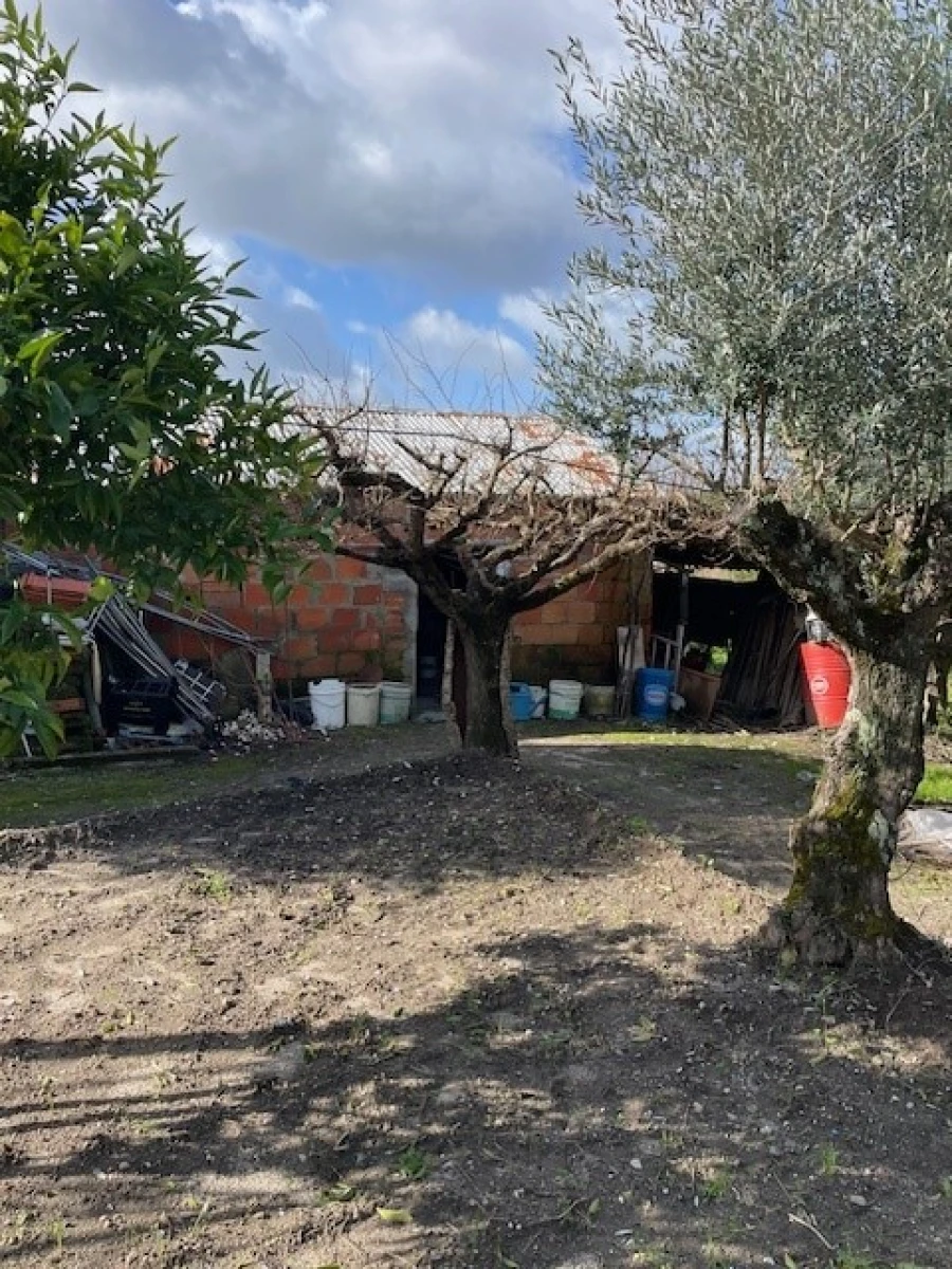 Quinta T3 para Venda em Foros de Arrão Foto 19