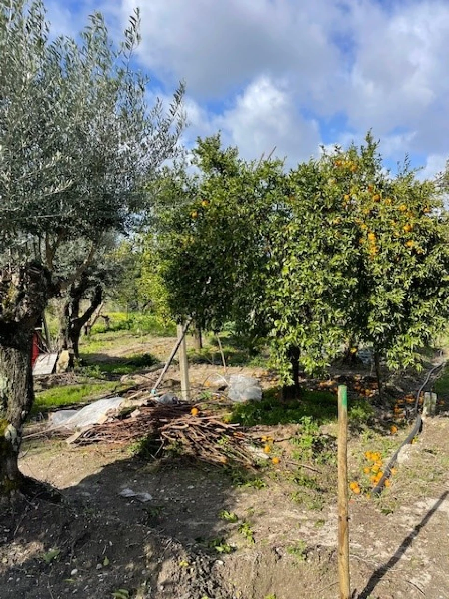 Quinta T3 para Venda em Foros de Arrão Foto 20