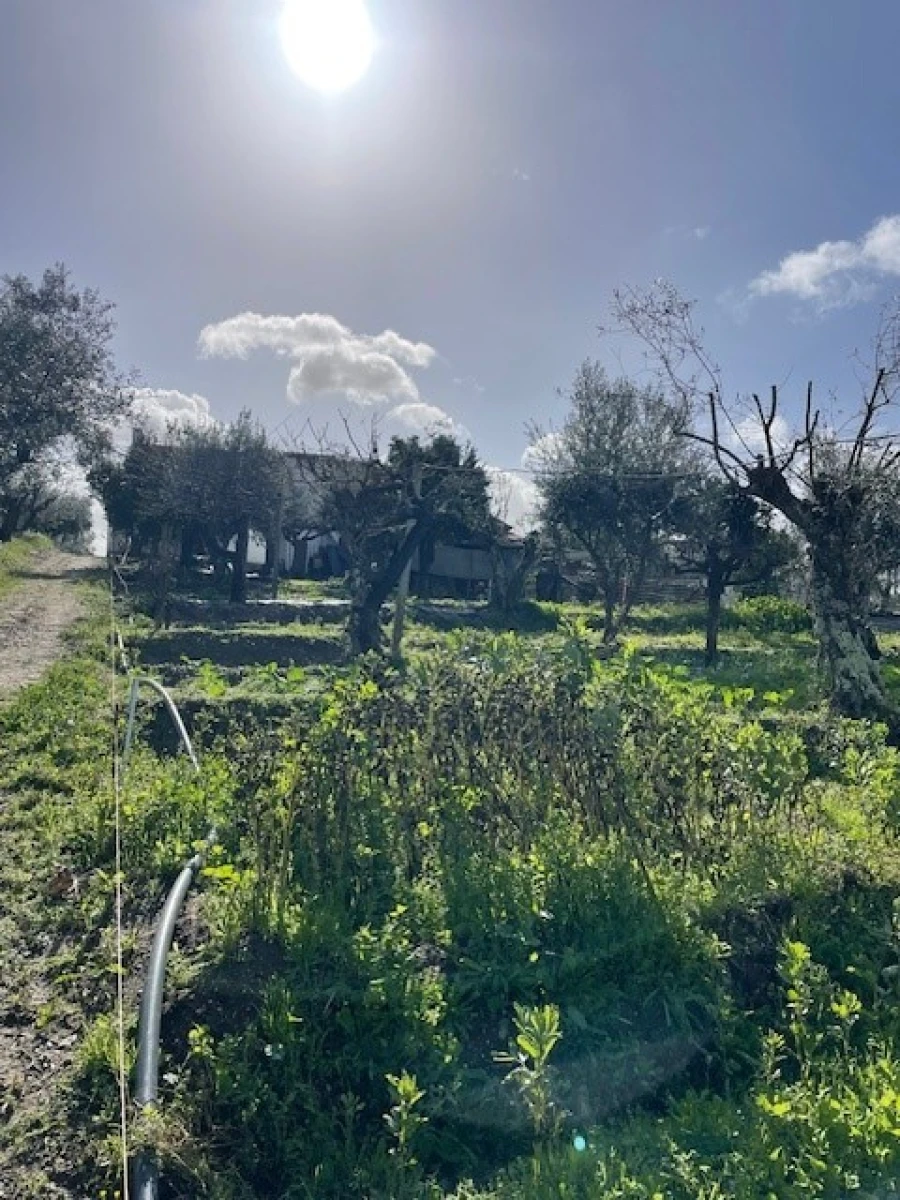 Quinta T3 para Venda em Foros de Arrão Foto 24