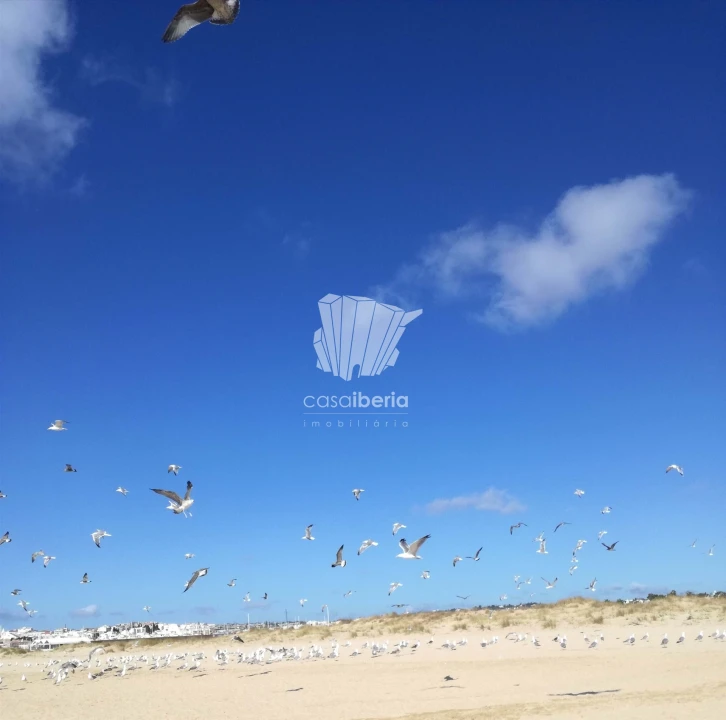 Apartamento T1 para Venda em Odiaxere Foto 12