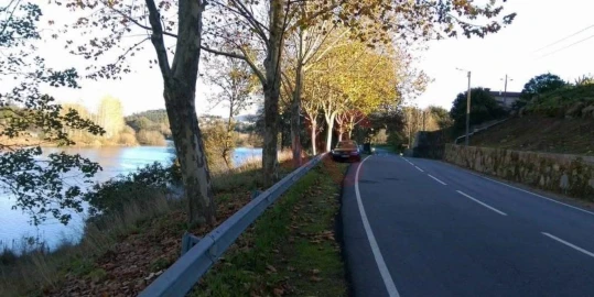 Terreno para Venda em Palmeira