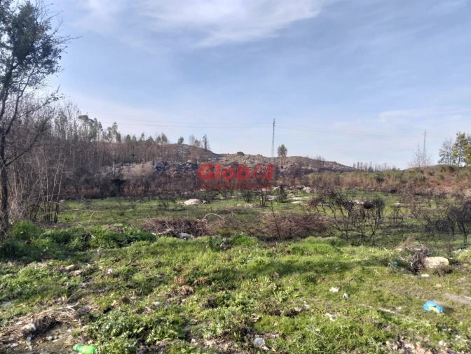 Terreno para Venda em Mangualde, Mesquitela e Cunha Alta Foto 2