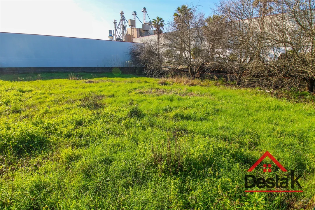 Moradia T5 para Venda em Albergaria-A-Velha e Valmaior Foto 42