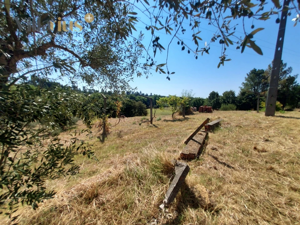 Moradia T3 para Venda em Casais e Alviobeira Foto 11