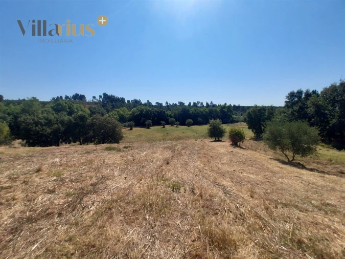 Moradia T3 para Venda em Casais e Alviobeira Foto 10