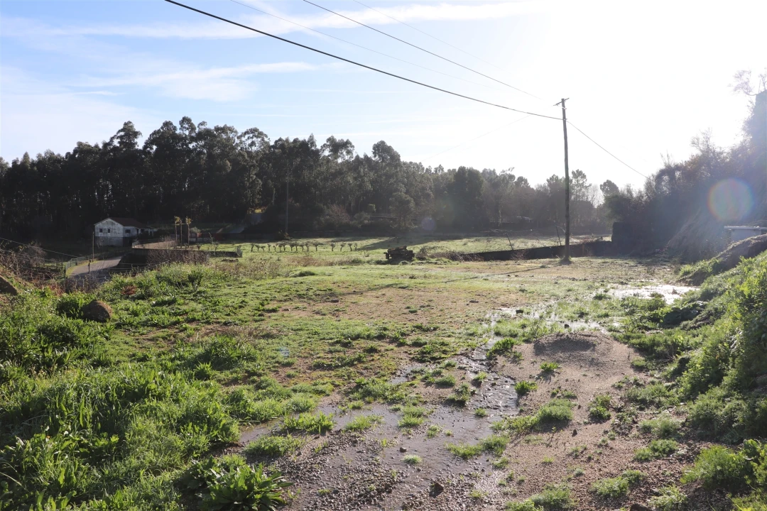 Terreno para Venda em Lustosa e Barrosas (Santo Estêvão) Foto 21