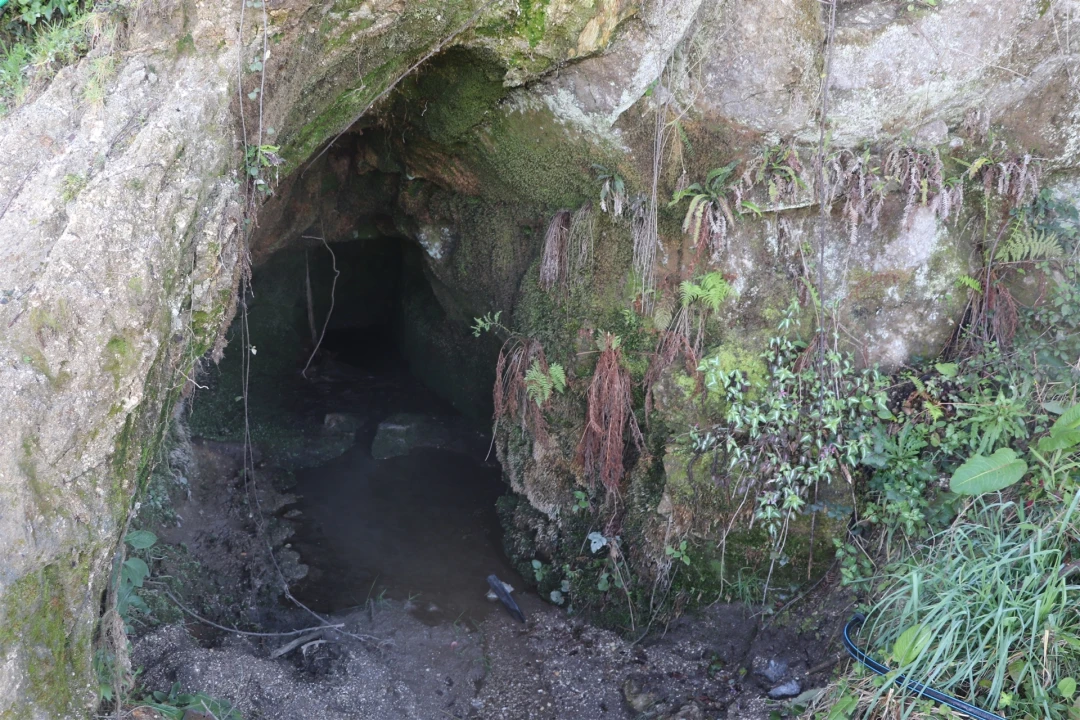 Terreno para Venda em Lustosa e Barrosas (Santo Estêvão) Foto 22