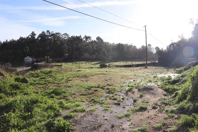 Terreno para Venda em Lustosa e Barrosas (Santo Estêvão) Foto 21