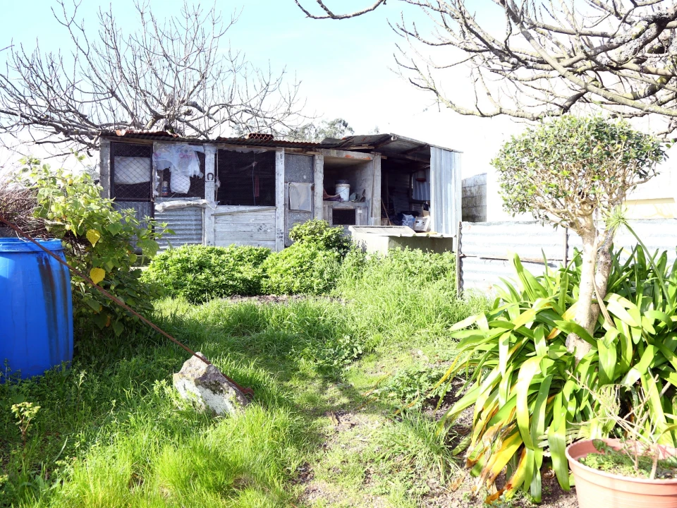 Moradia T0 para Venda em Lustosa e Barrosas (Santo Estêvão) Foto 6