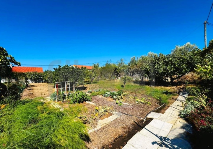 Moradia T3 para Venda em São Pedro de Tomar Foto 32