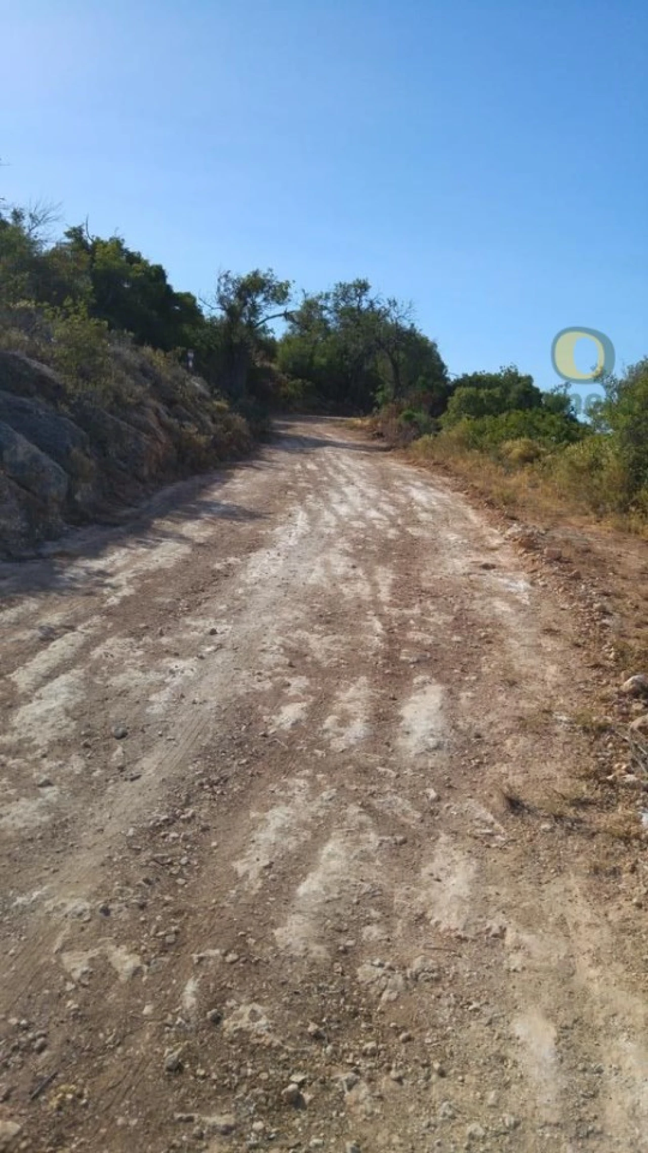 Terreno Agricola ou Rústico para Venda em Boliqueime Foto 2