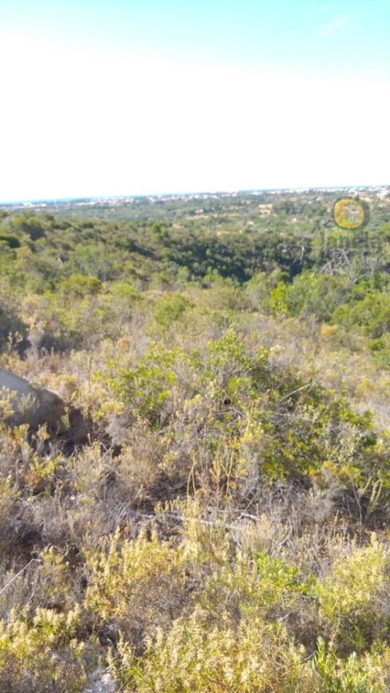 Terreno Agricola ou Rústico para Venda em Boliqueime Foto 4