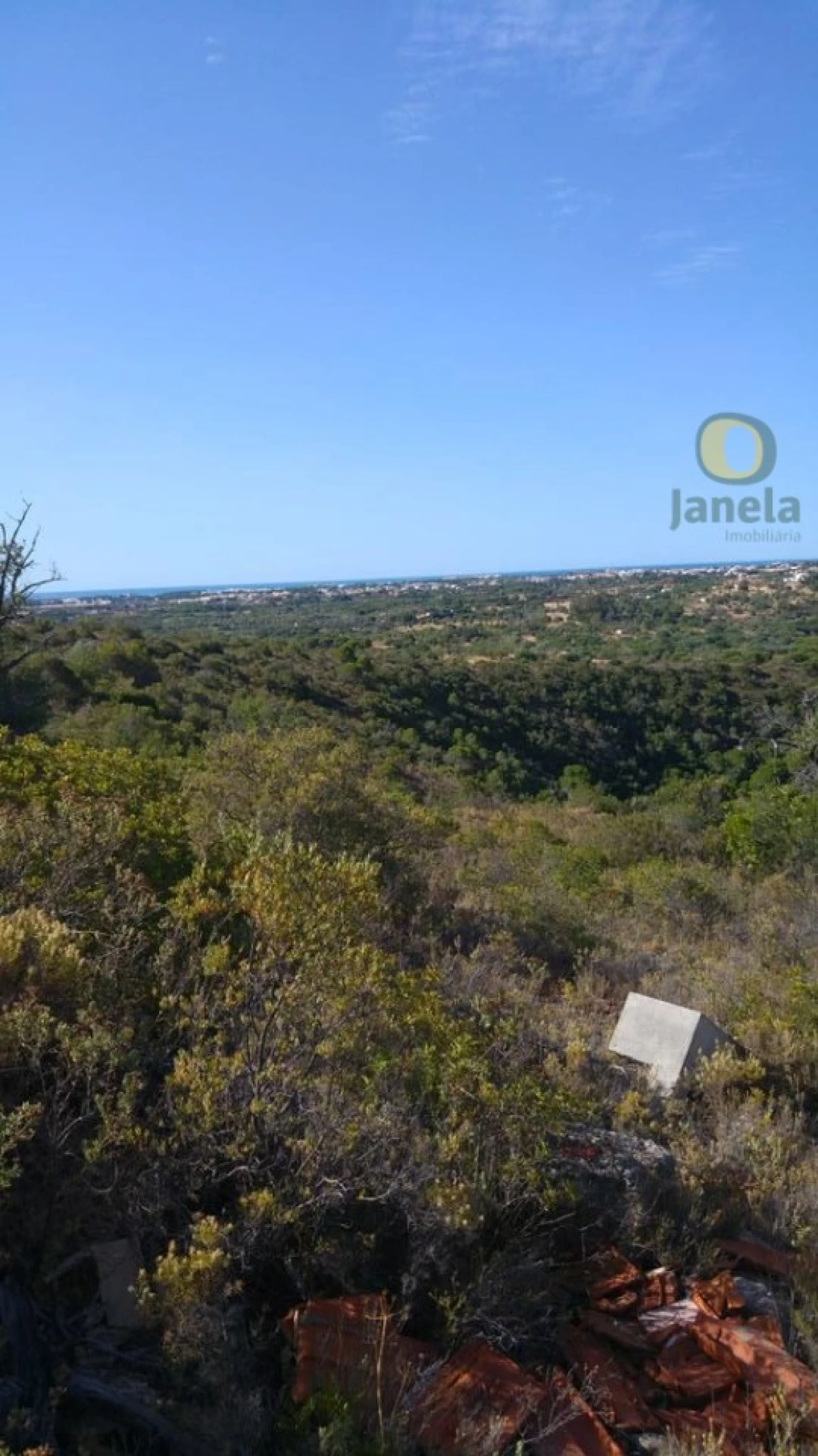 Terreno Agricola ou Rústico para Venda em Boliqueime Foto 5