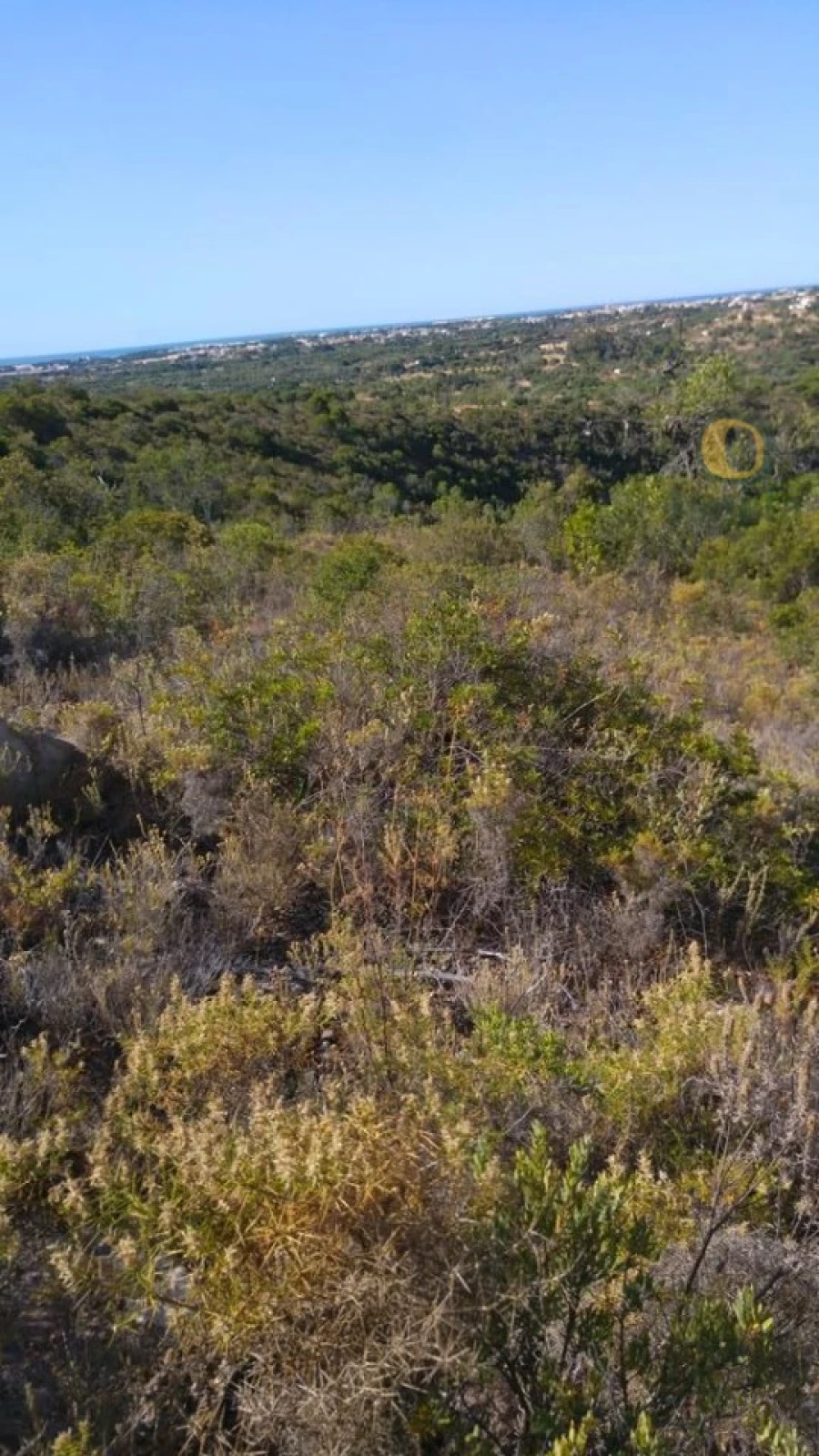 Terreno Agricola ou Rústico para Venda em Boliqueime Foto 1