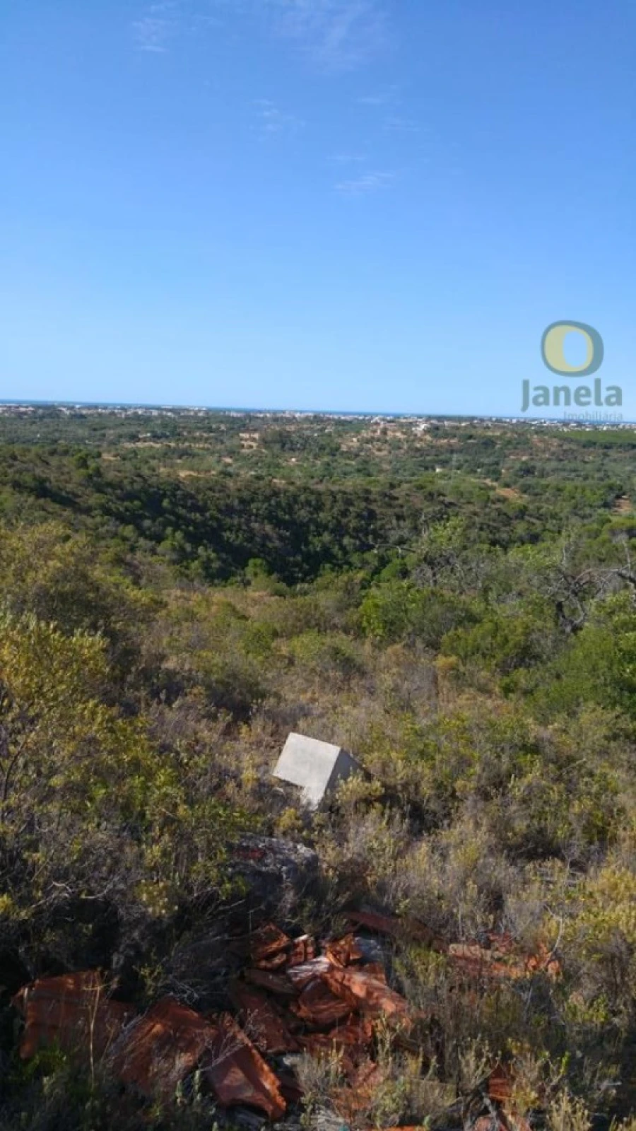 Terreno Agricola ou Rústico para Venda em Boliqueime Foto 3
