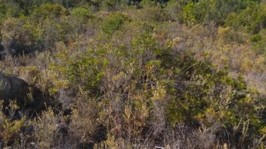 Terreno Agricola ou Rústico para Venda em Boliqueime