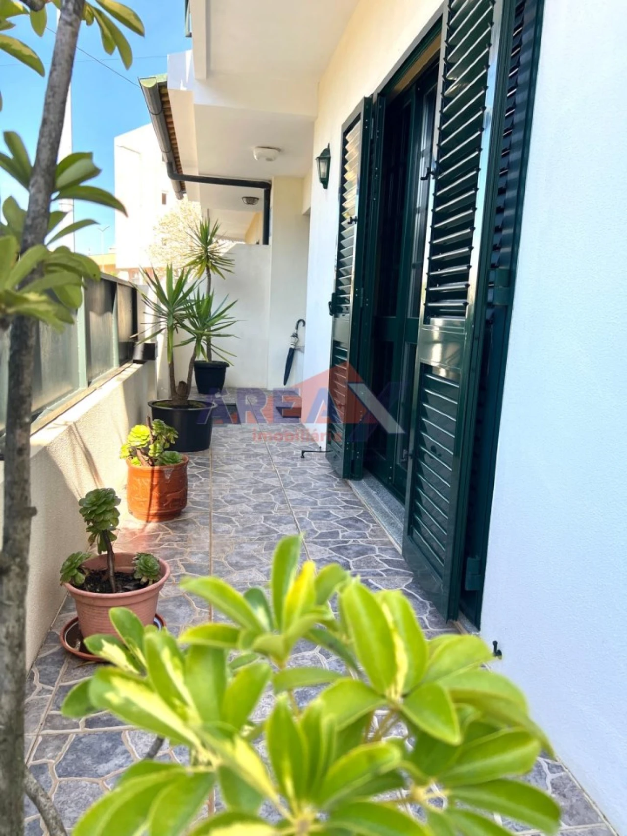 Quinta T3 para Venda em Vila de Cucujães Foto 2