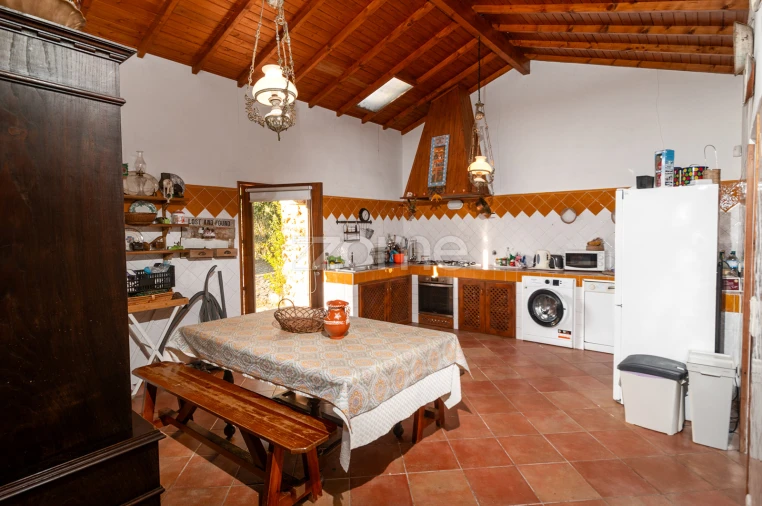 Quinta T7 para Venda em Mentrestido Foto 15