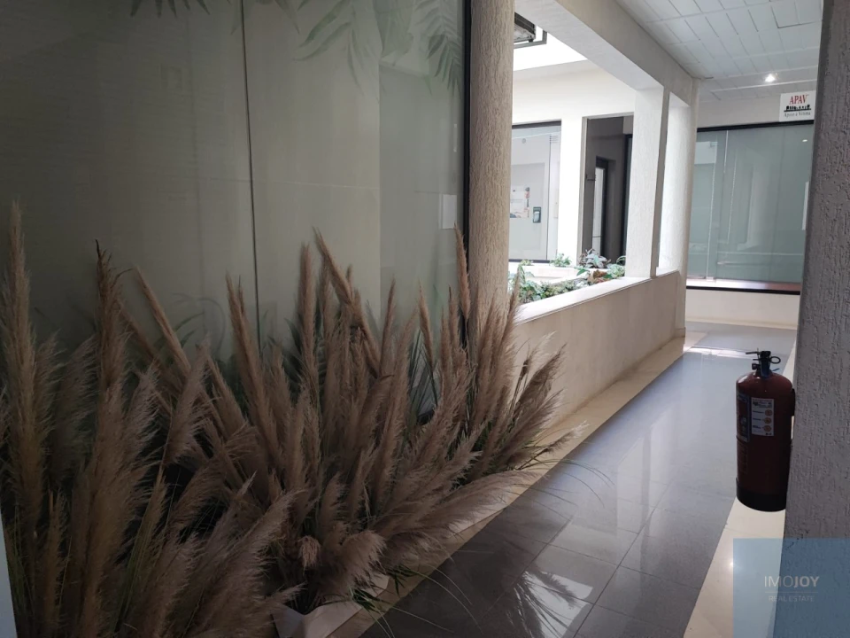 Escritório para Arrendamento em Cascais e Estoril Foto 6