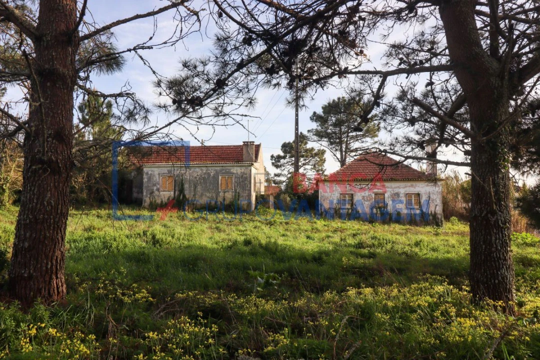 Quinta T5 para Venda em Mafra Foto 2