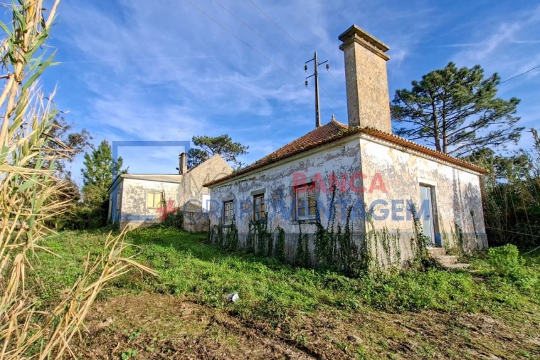 Quinta T5 para Venda em Mafra