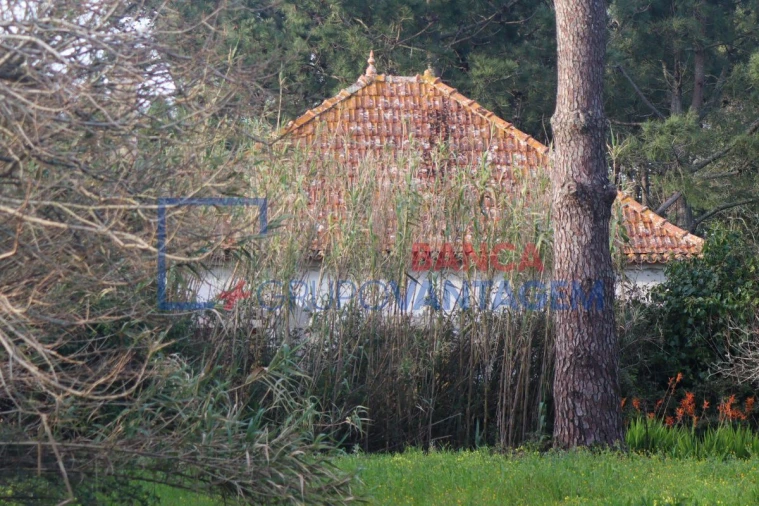 Quinta T5 para Venda em Mafra Foto 13