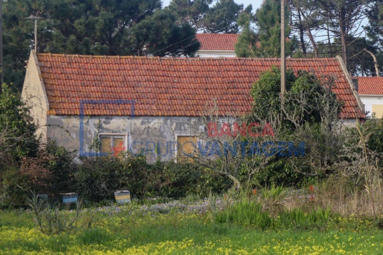 Quinta T5 para Venda em Mafra Foto 26