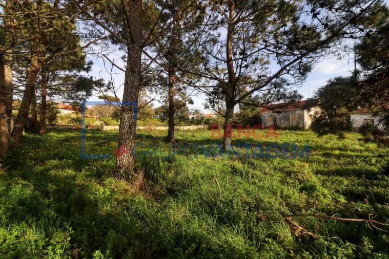 Quinta T5 para Venda em Mafra Foto 29