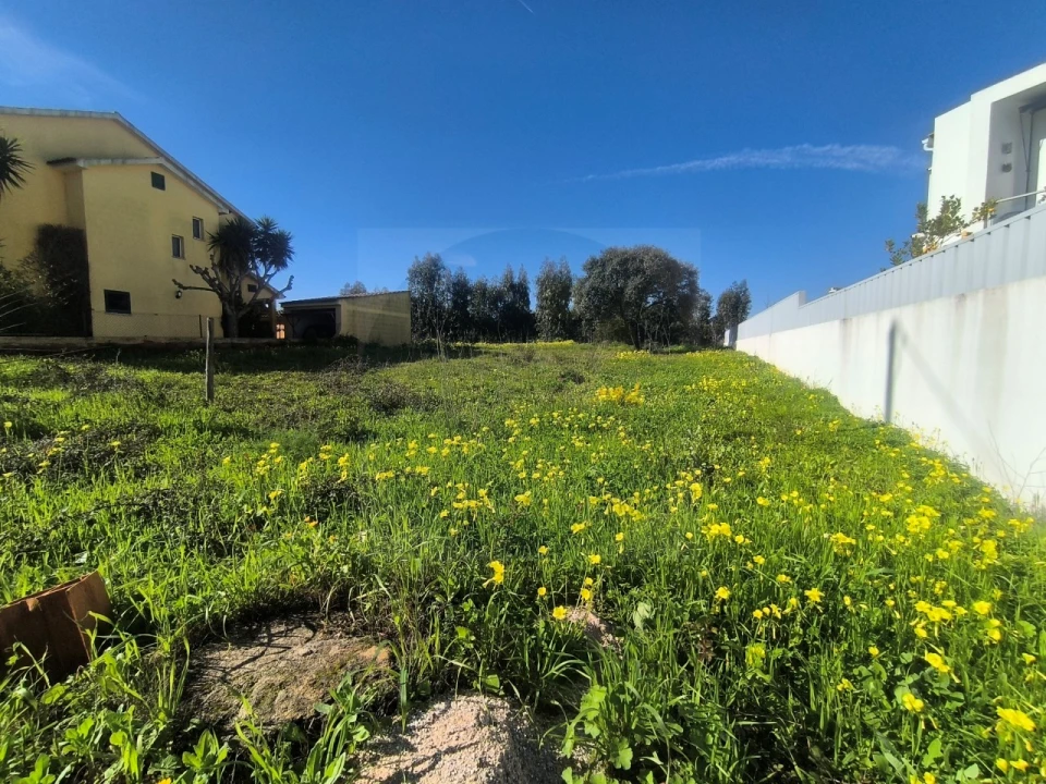 Terreno para Venda em Abrantes (São Vicente e São João) e Alferrarede Foto 1