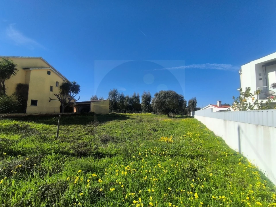 Terreno para Venda em Abrantes (São Vicente e São João) e Alferrarede Foto 6