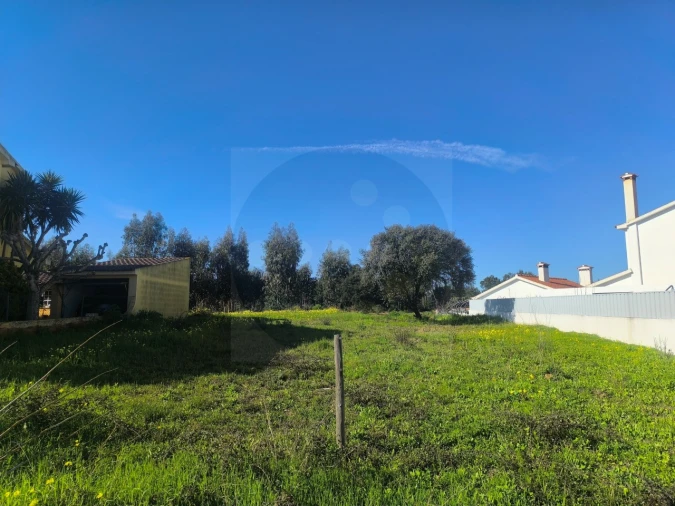 Terreno para Venda em Abrantes (São Vicente e São João) e Alferrarede Foto 3