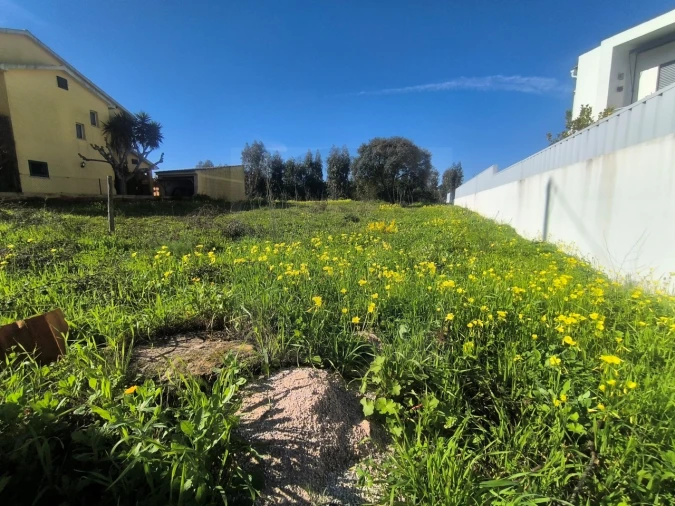 Terreno para Venda em Abrantes (São Vicente e São João) e Alferrarede Foto 4