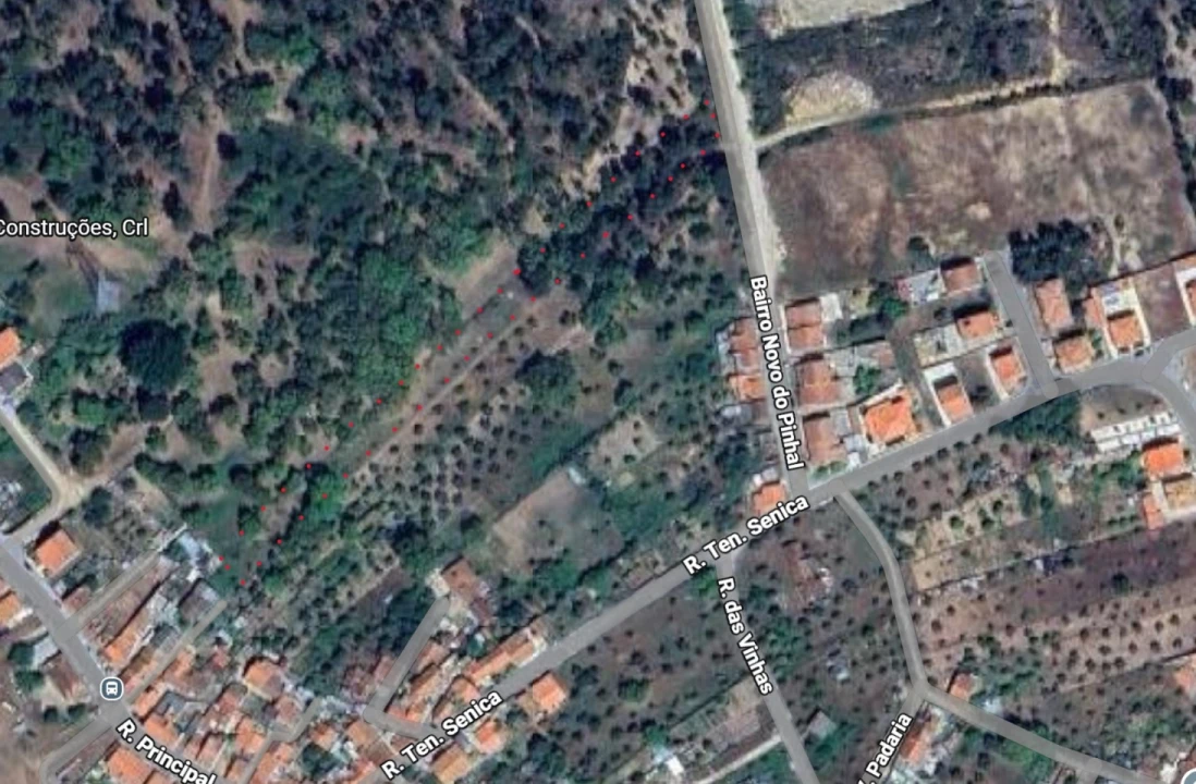 Terreno Agricola ou Rústico para Venda em São Miguel do Rio Torto e Rossio Ao Sul do Tejo Foto 1