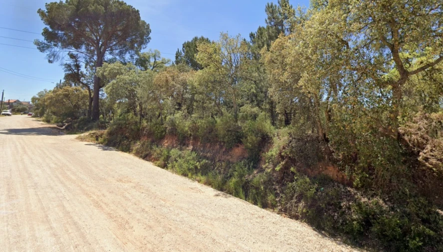 Terreno Agricola ou Rústico para Venda em São Miguel do Rio Torto e Rossio Ao Sul do Tejo Foto 2
