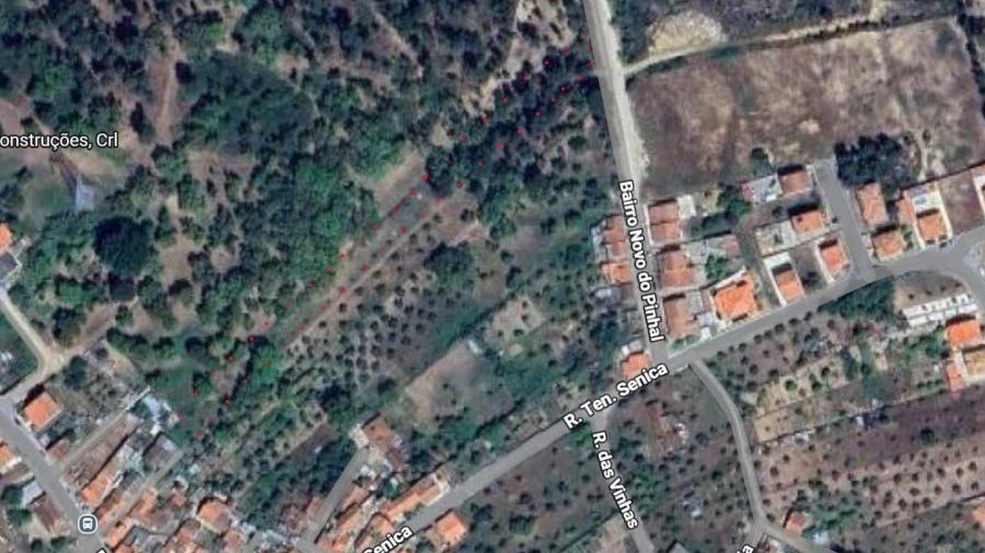 Terreno Agricola ou Rústico para Venda em São Miguel do Rio Torto e Rossio Ao Sul do Tejo