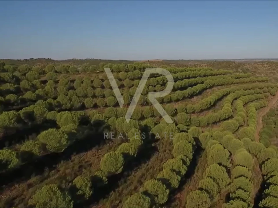 Quinta T0 para Venda em Mertola Foto 3