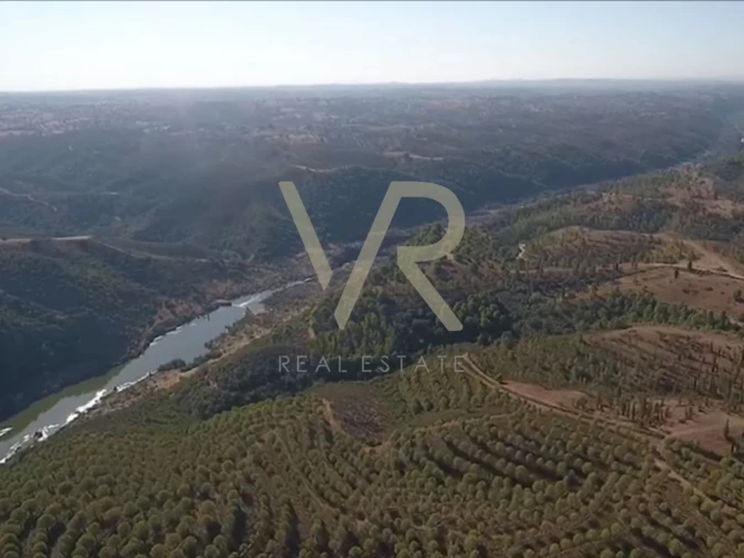 Quinta T0 para Venda em Mertola Foto 13