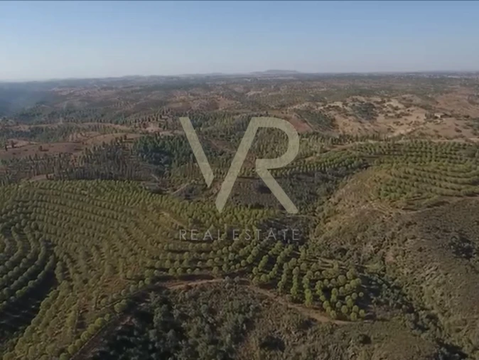 Quinta T0 para Venda em Mertola Foto 12