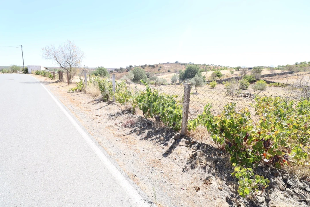 Terreno Agricola ou Rústico para Venda em Giões Foto 7