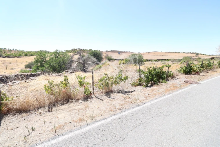 Terreno Agricola ou Rústico para Venda em Giões Foto 2