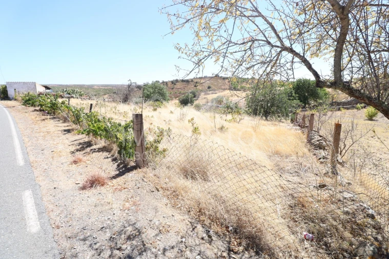 Terreno Agricola ou Rústico para Venda em Giões Foto 3