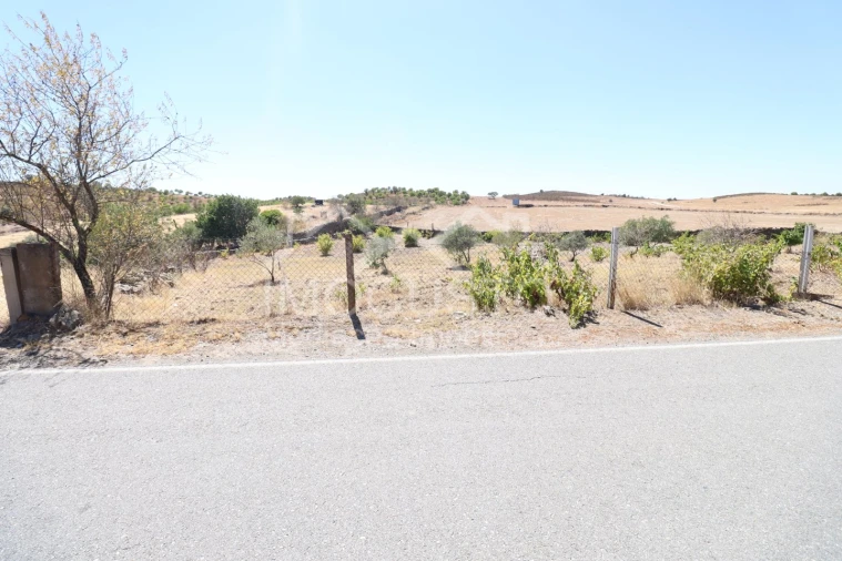 Terreno Agricola ou Rústico para Venda em Giões Foto 4