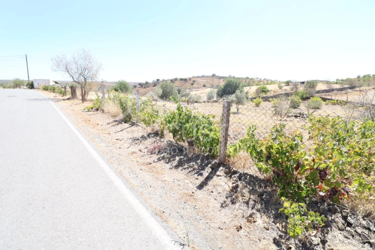 Terreno Agricola ou Rústico para Venda em Giões Foto 7