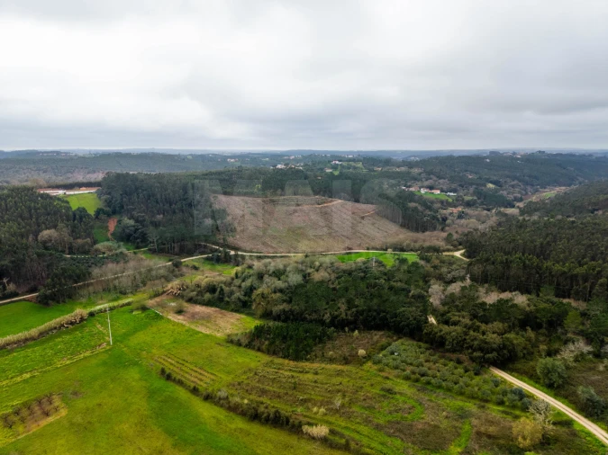 Moradia para Venda em Alvorninha Foto 9