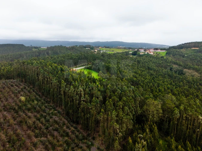 Moradia para Venda em Alvorninha Foto 11