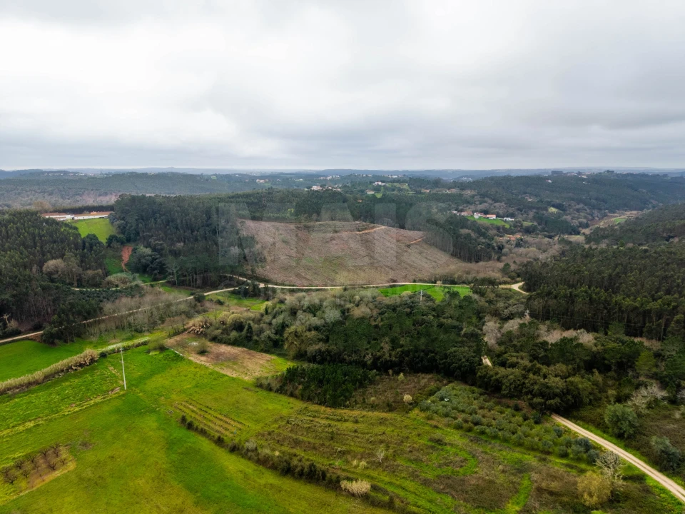 Moradia para Venda em Alvorninha Foto 9