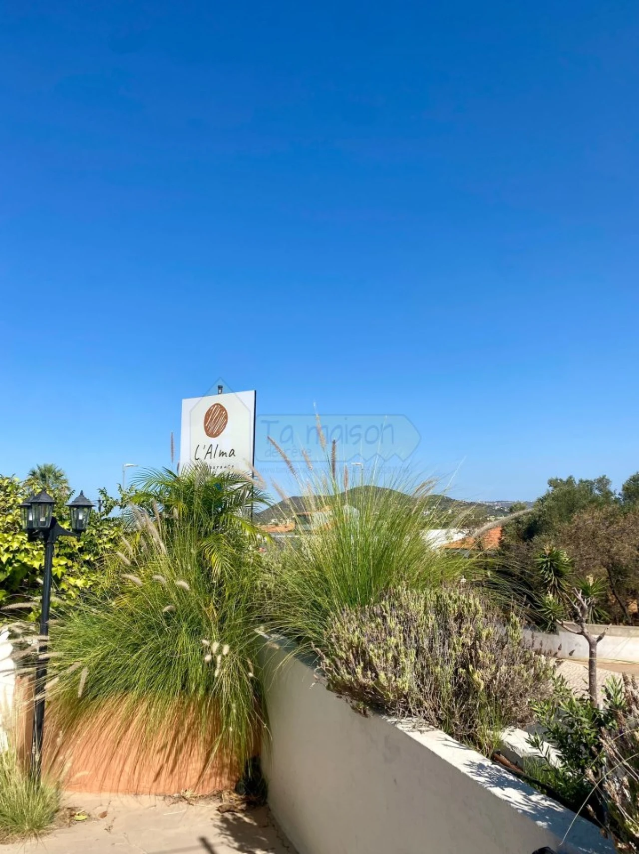 Negócio para Venda em Almancil Foto 8