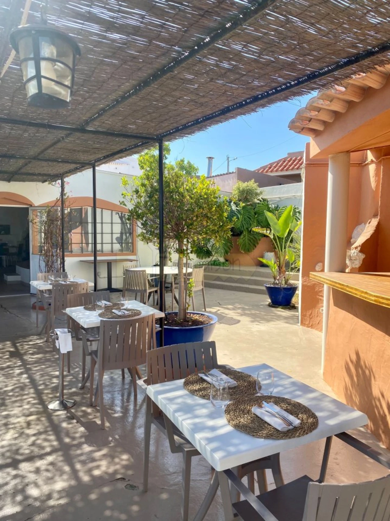 Negócio para Venda em Almancil Foto 10