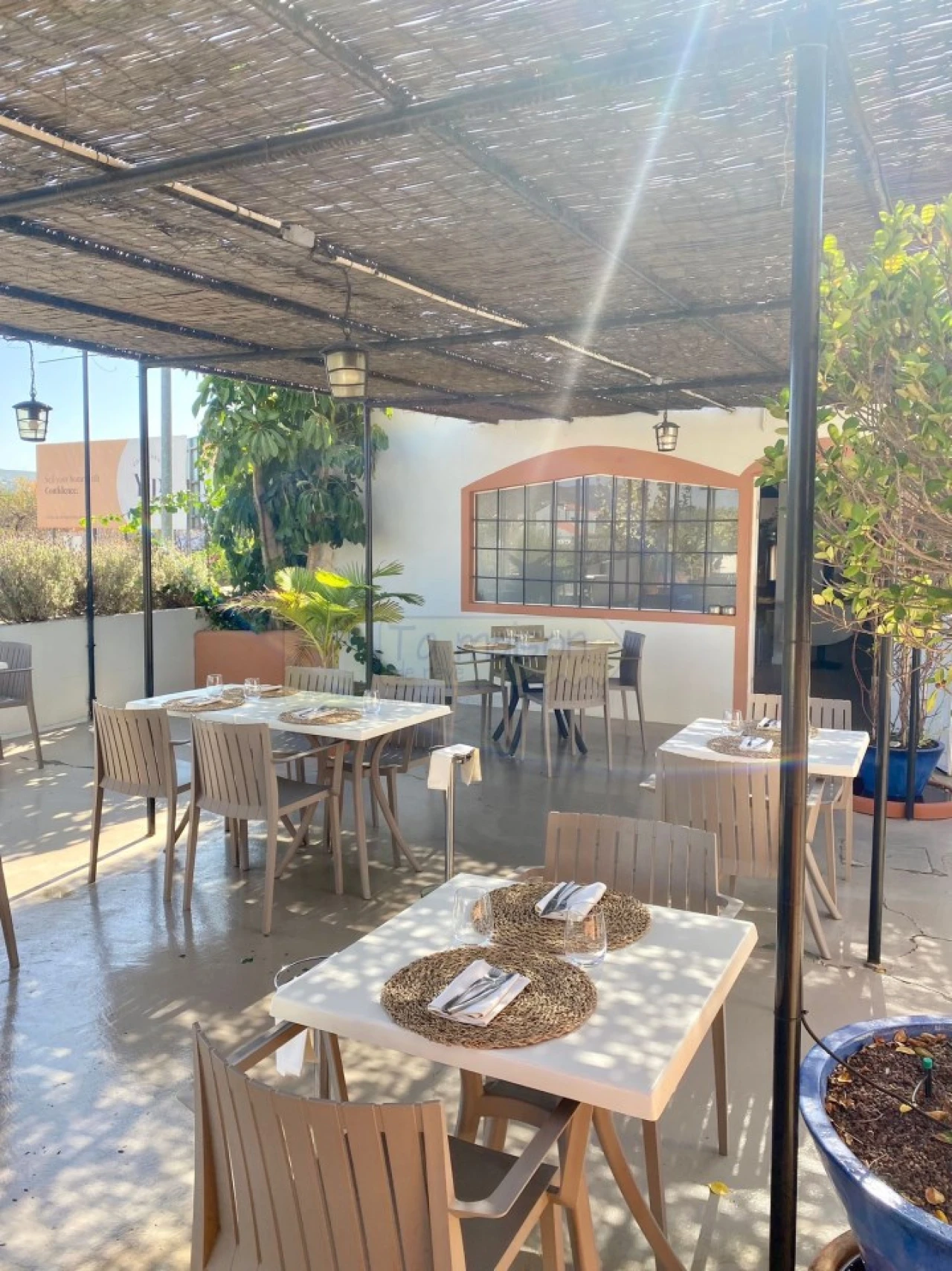 Negócio para Venda em Almancil Foto 13